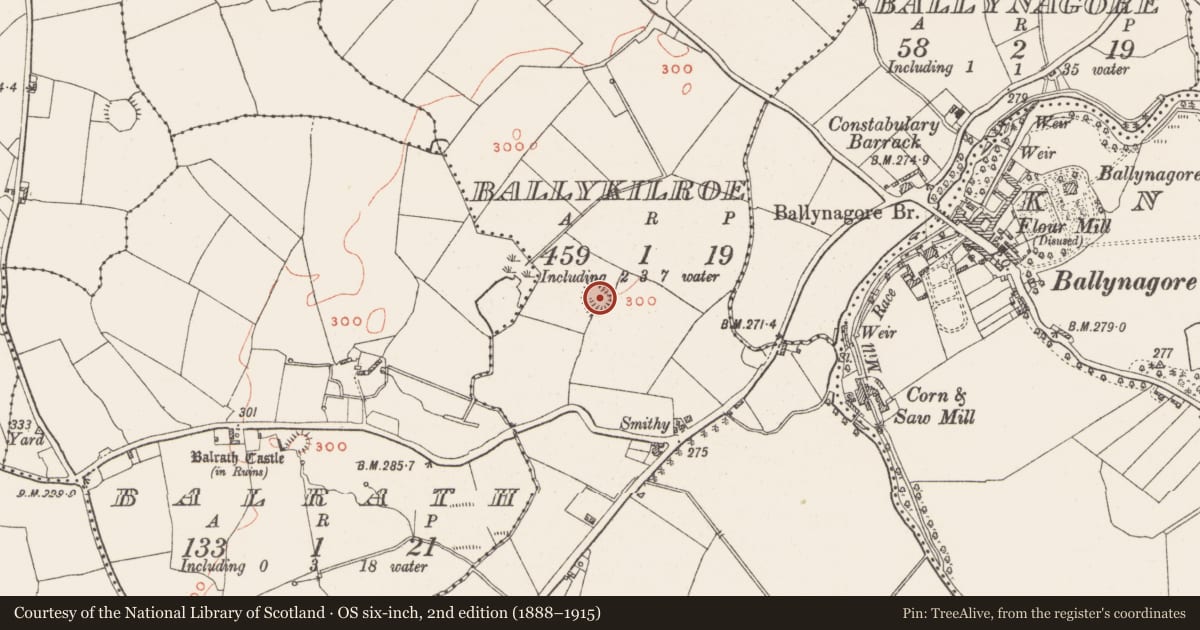 Ordnance Survey six-inch map, 2nd edition (1888–1915) covering the location of Ringfort - rath, Ballykilroe, County Westmeath, with a pin at the register's coordinates