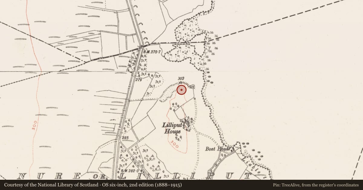 Ordnance Survey six-inch map, 2nd edition (1888–1915) covering the location of Burial, Nure Or Lilliput, County Westmeath, with a pin at the register's coordinates