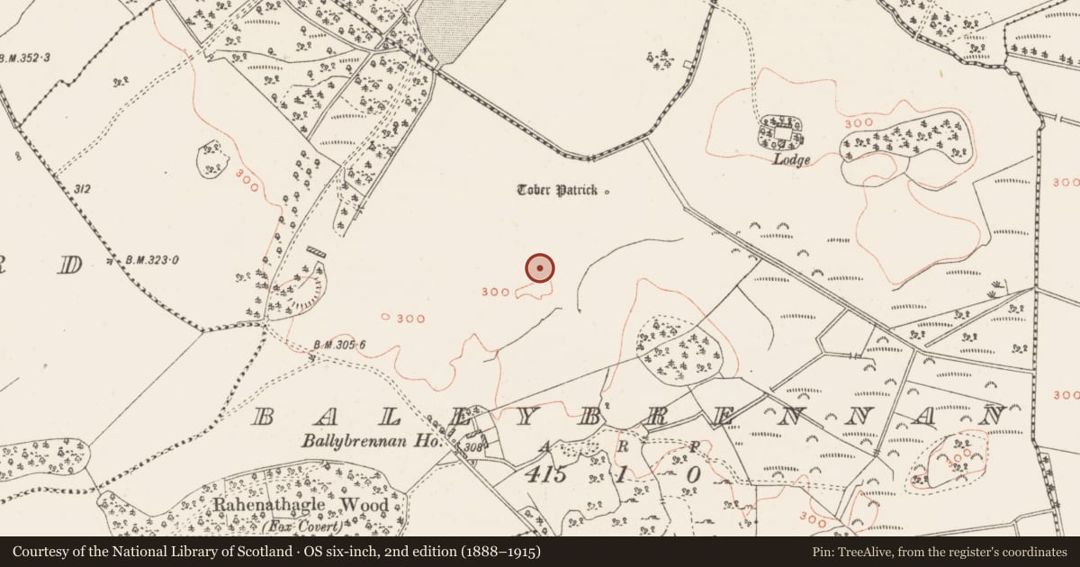 Ordnance Survey six-inch map, 2nd edition (1888–1915) covering the location of Burial ground, Ballybrennan, County Westmeath, with a pin at the register's coordinates
