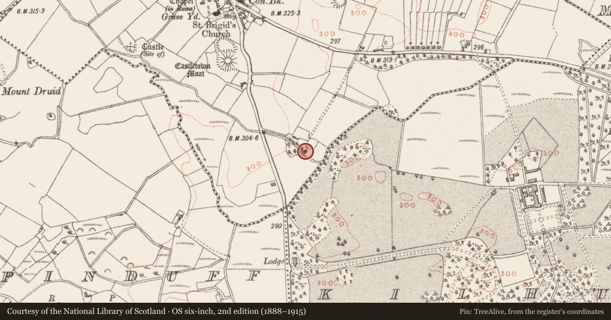 Ordnance Survey six-inch map, 2nd edition (1888–1915) covering the location of Water mill - unclassified, Castletown, County Westmeath, with a pin at the register's coordinates