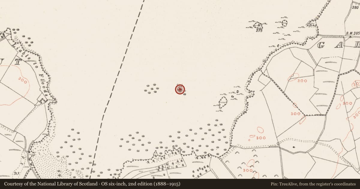 Ordnance Survey six-inch map, 2nd edition (1888–1915) covering the location of Crannog, Lough Ennell, County Westmeath, with a pin at the register's coordinates