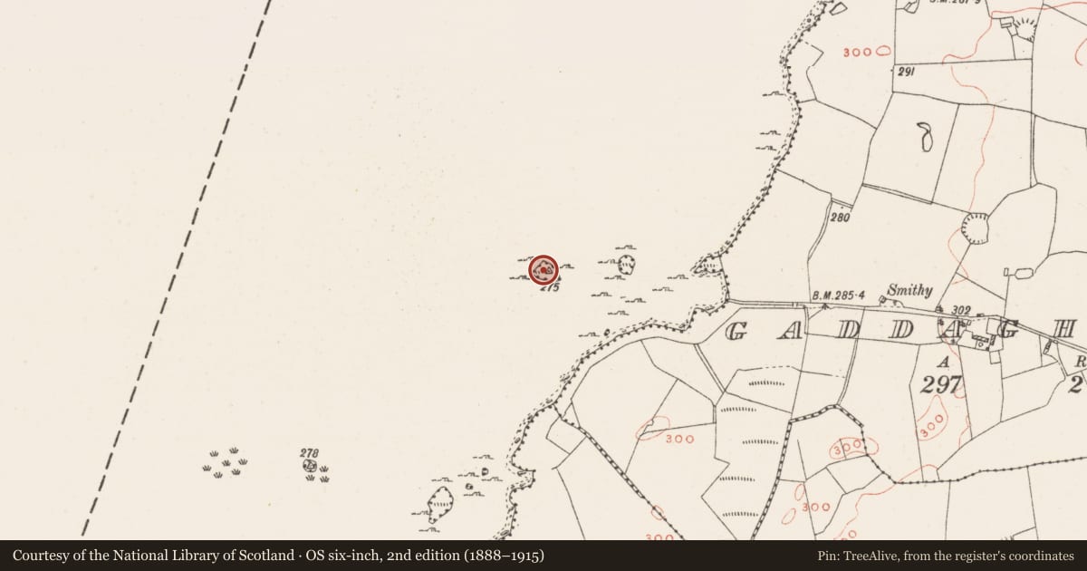 Ordnance Survey six-inch map, 2nd edition (1888–1915) covering the location of Crannog, Lough Ennell, County Westmeath, with a pin at the register's coordinates
