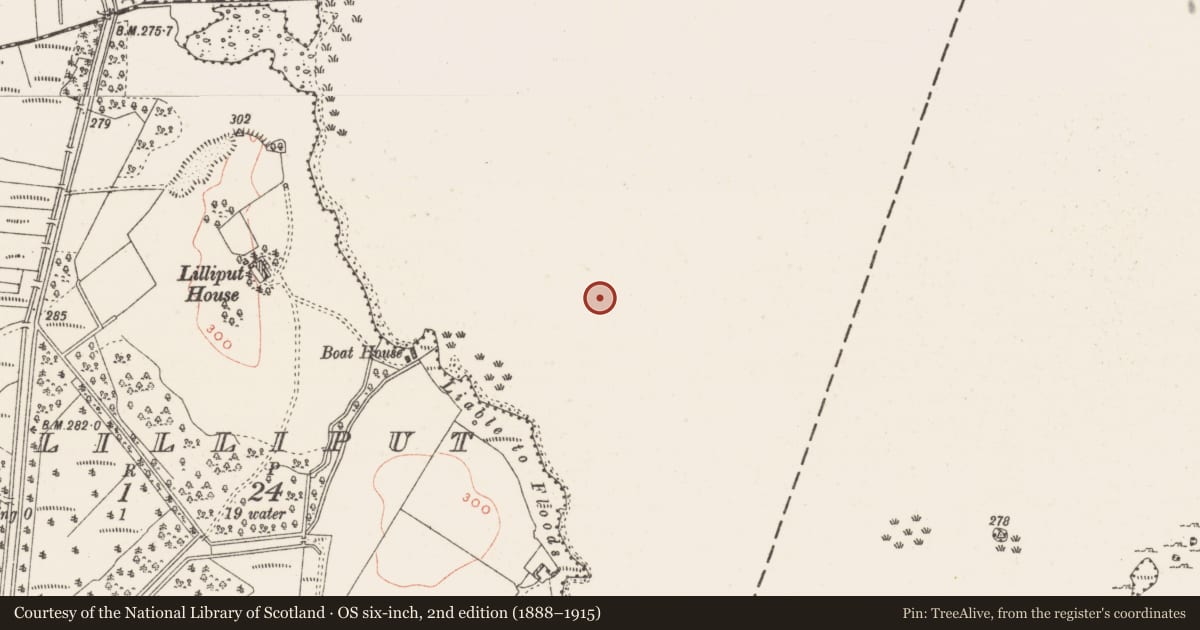 Ordnance Survey six-inch map, 2nd edition (1888–1915) covering the location of Crannog, Lough Ennell, County Westmeath, with a pin at the register's coordinates