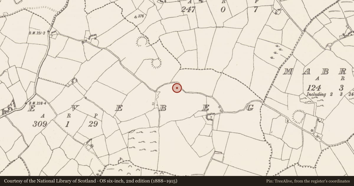 Ordnance Survey six-inch map, 2nd edition (1888–1915) covering the location of Burial, Gneevebeg, County Westmeath, with a pin at the register's coordinates