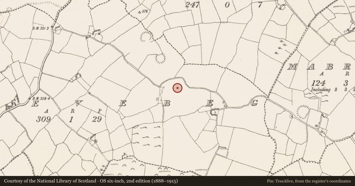 Ordnance Survey six-inch map, 2nd edition (1888–1915) covering the location of Kiln - corn-drying, Gneevebeg, County Westmeath, with a pin at the register's coordinates
