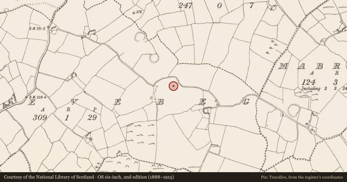 Ordnance Survey six-inch map, 2nd edition (1888–1915) covering the location of Kiln - corn-drying, Gneevebeg, County Westmeath, with a pin at the register's coordinates