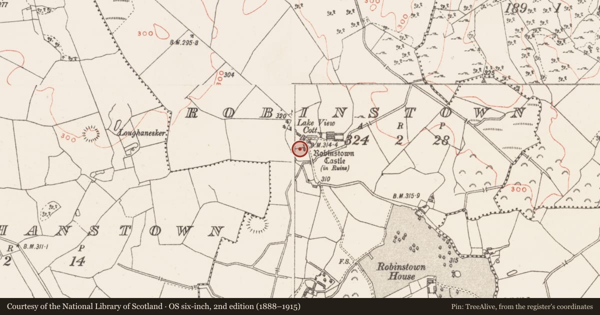 Ordnance Survey six-inch map, 2nd edition (1888–1915) covering the location of Castle - unclassified, Robinstown (Fartullagh By., Carrick Par.), County Westmeath, with a pin at the register's coordinates