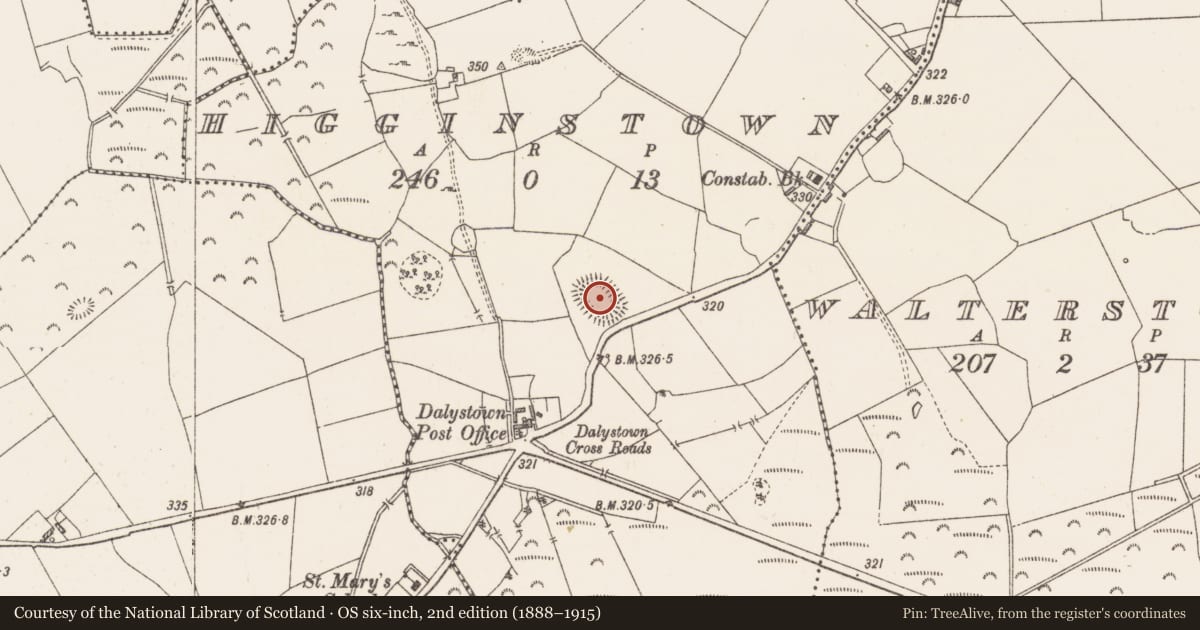 Ordnance Survey six-inch map, 2nd edition (1888–1915) covering the location of Ringfort - unclassified, Higginstown, County Westmeath, with a pin at the register's coordinates