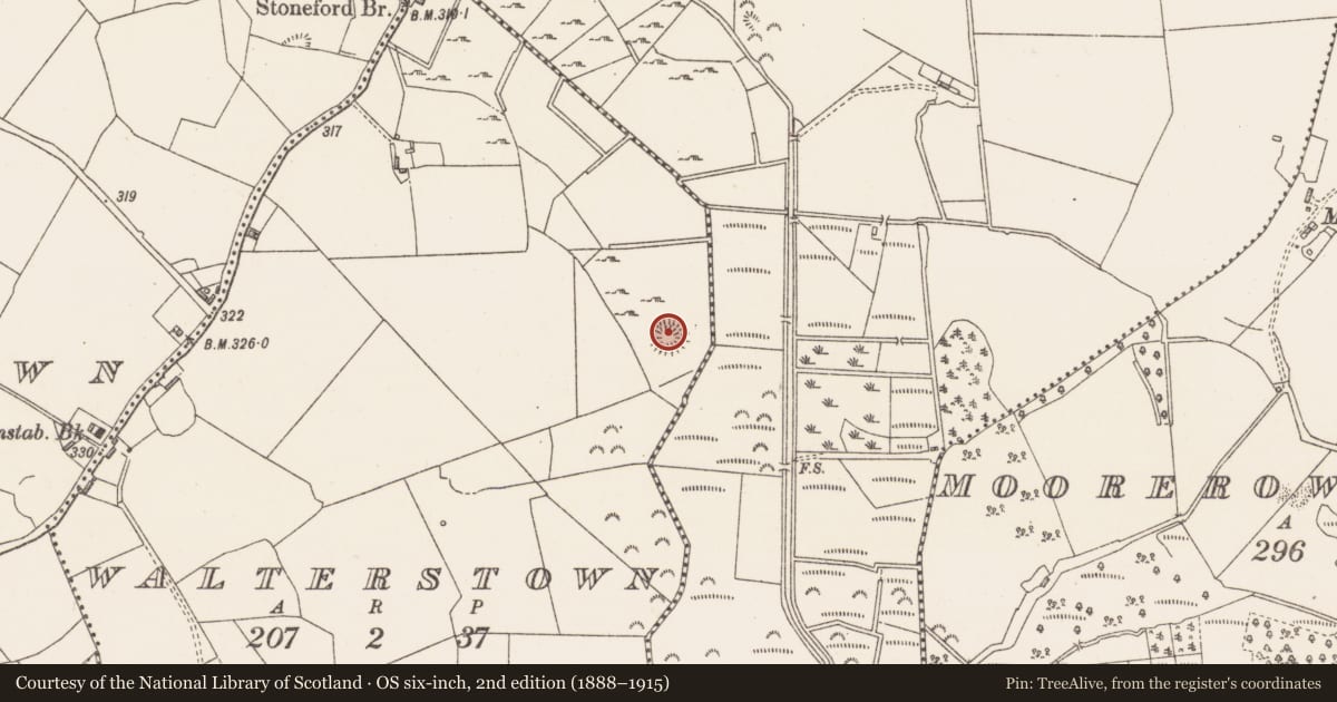 Ordnance Survey six-inch map, 2nd edition (1888–1915) covering the location of Ringfort - rath, Walterstown, County Westmeath, with a pin at the register's coordinates