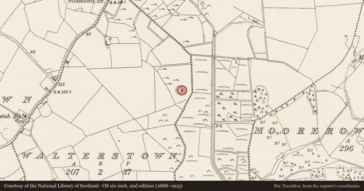 Ordnance Survey six-inch map, 2nd edition (1888–1915) covering the location of Souterrain, Walterstown, County Westmeath, with a pin at the register's coordinates
