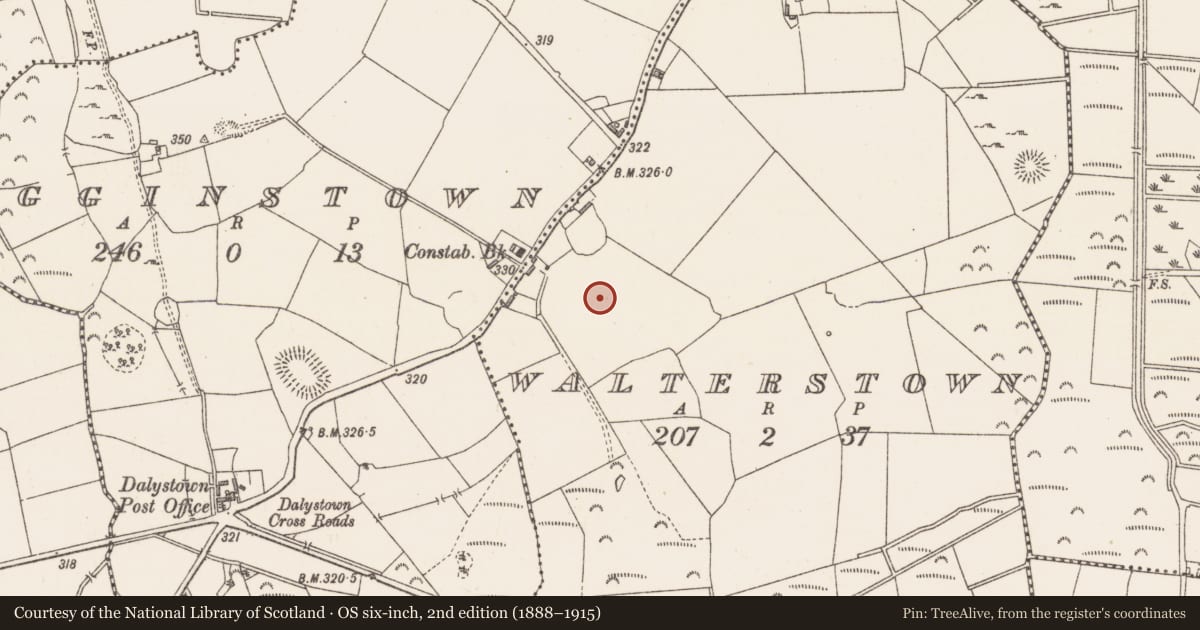 Ordnance Survey six-inch map, 2nd edition (1888–1915) covering the location of Ringfort - unclassified, Walterstown, County Westmeath, with a pin at the register's coordinates