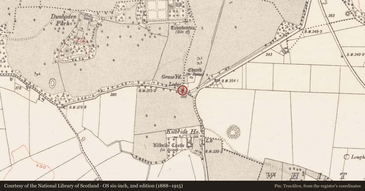 Ordnance Survey six-inch map, 2nd edition (1888–1915) covering the location of Cross-slab, Whitewell, County Westmeath, with a pin at the register's coordinates