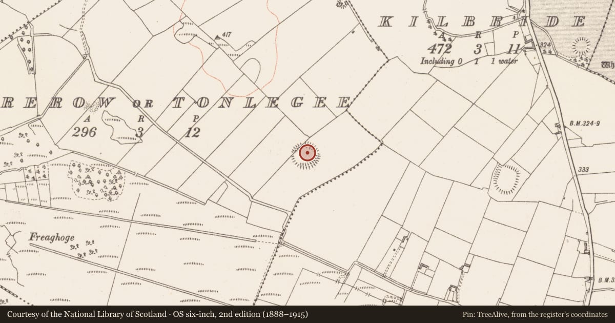 Ordnance Survey six-inch map, 2nd edition (1888–1915) covering the location of Ringfort - rath, Moorerow Or Tonlegee, County Westmeath, with a pin at the register's coordinates