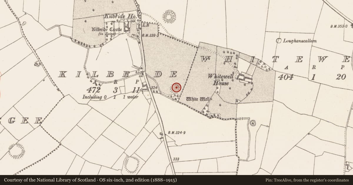 Ordnance Survey six-inch map, 2nd edition (1888–1915) covering the location of Ringfort - rath, Kilbride, County Westmeath, with a pin at the register's coordinates