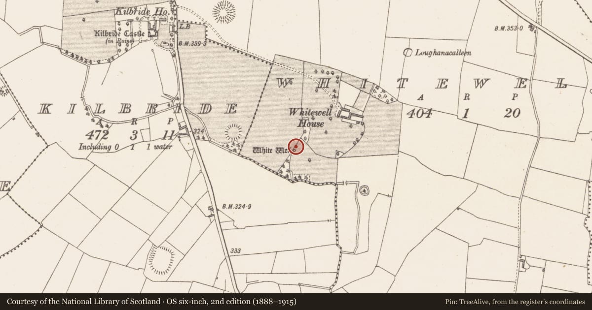 Ordnance Survey six-inch map, 2nd edition (1888–1915) covering the location of Well, Kilbride, County Westmeath, with a pin at the register's coordinates