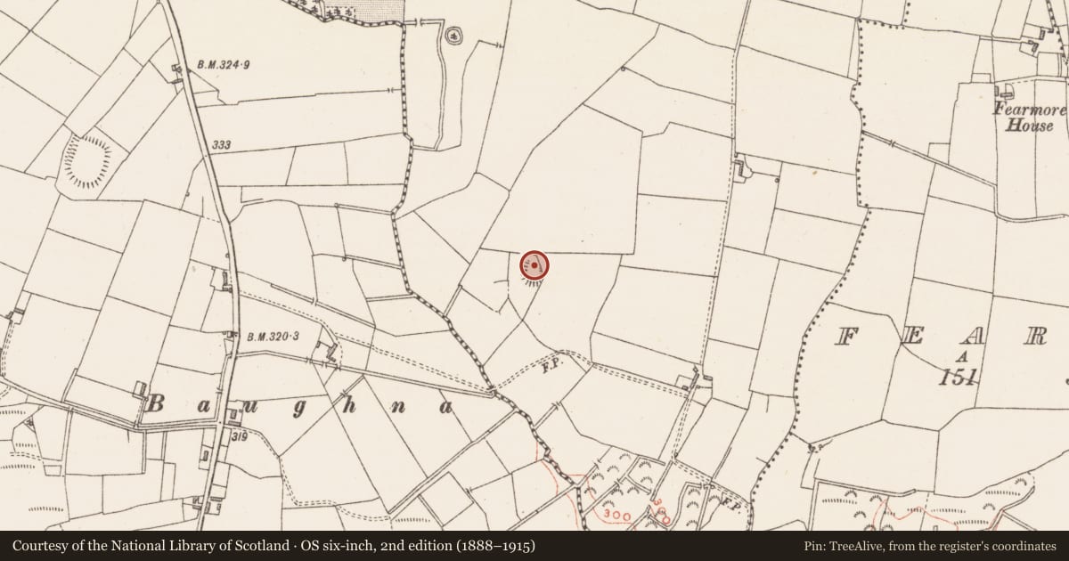 Ordnance Survey six-inch map, 2nd edition (1888–1915) covering the location of Ringfort - rath, Whitewell, County Westmeath, with a pin at the register's coordinates
