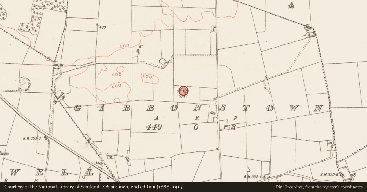 Ordnance Survey six-inch map, 2nd edition (1888–1915) covering the location of Ringfort - rath, Gibbonstown, County Westmeath, with a pin at the register's coordinates