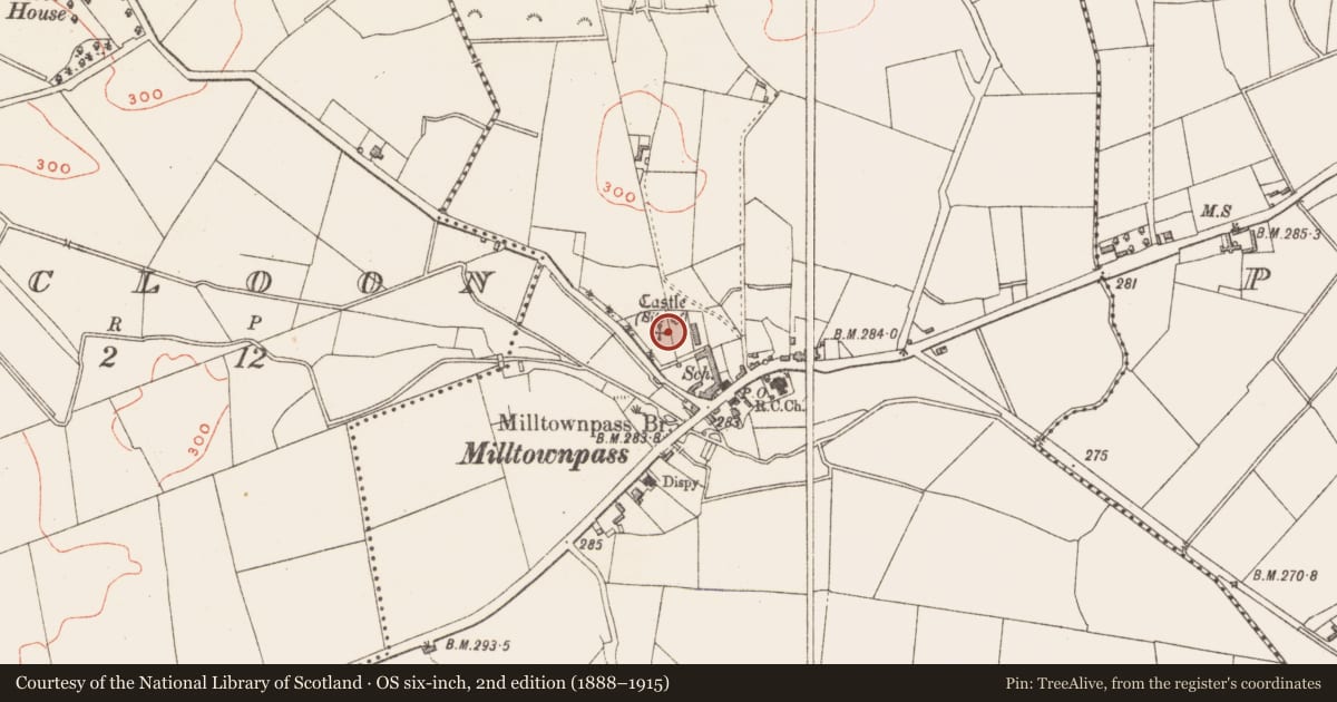Ordnance Survey six-inch map, 2nd edition (1888–1915) covering the location of Castle - unclassified, Milltown, County Westmeath, with a pin at the register's coordinates