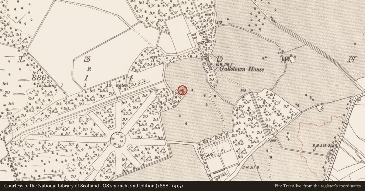 Ordnance Survey six-inch map, 2nd edition (1888–1915) covering the location of Castle - motte, Gallstown, County Westmeath, with a pin at the register's coordinates