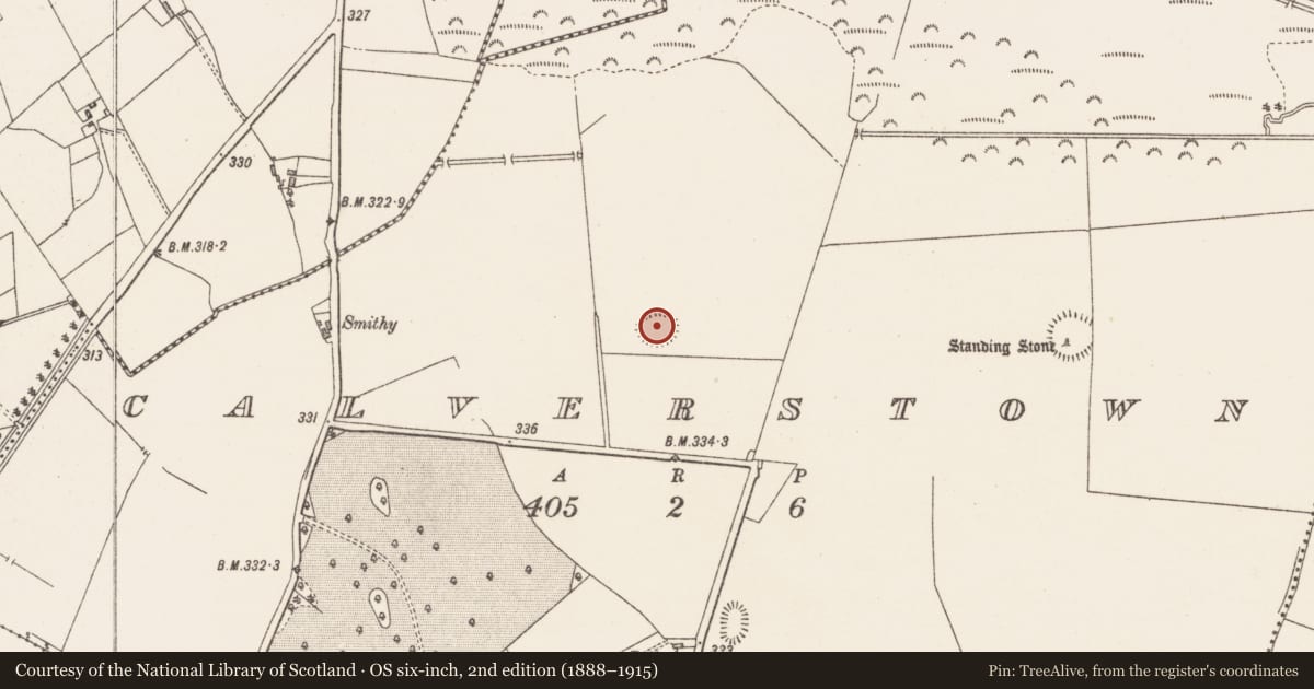 Ordnance Survey six-inch map, 2nd edition (1888–1915) covering the location of Ringfort - rath, Calverstown, County Westmeath, with a pin at the register's coordinates