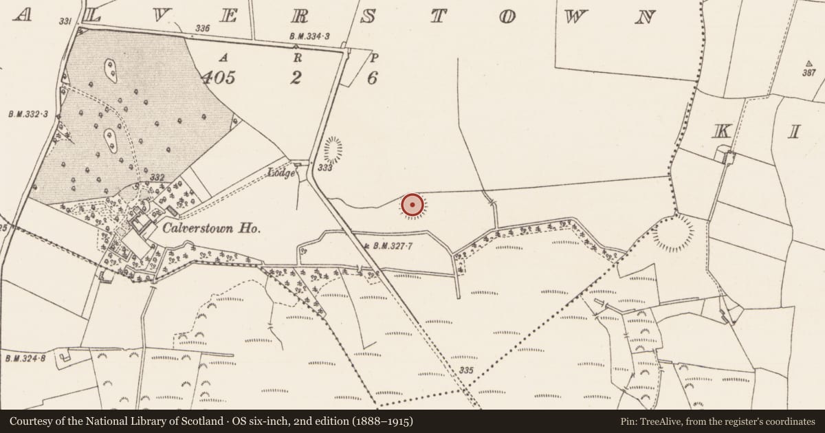 Ordnance Survey six-inch map, 2nd edition (1888–1915) covering the location of Ringfort - rath, Calverstown, County Westmeath, with a pin at the register's coordinates