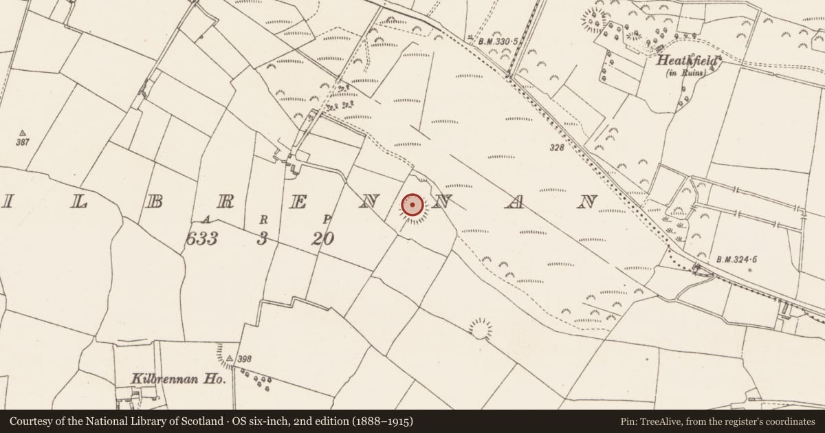Ordnance Survey six-inch map, 2nd edition (1888–1915) covering the location of Ringfort - rath, Kilbrennan, County Westmeath, with a pin at the register's coordinates