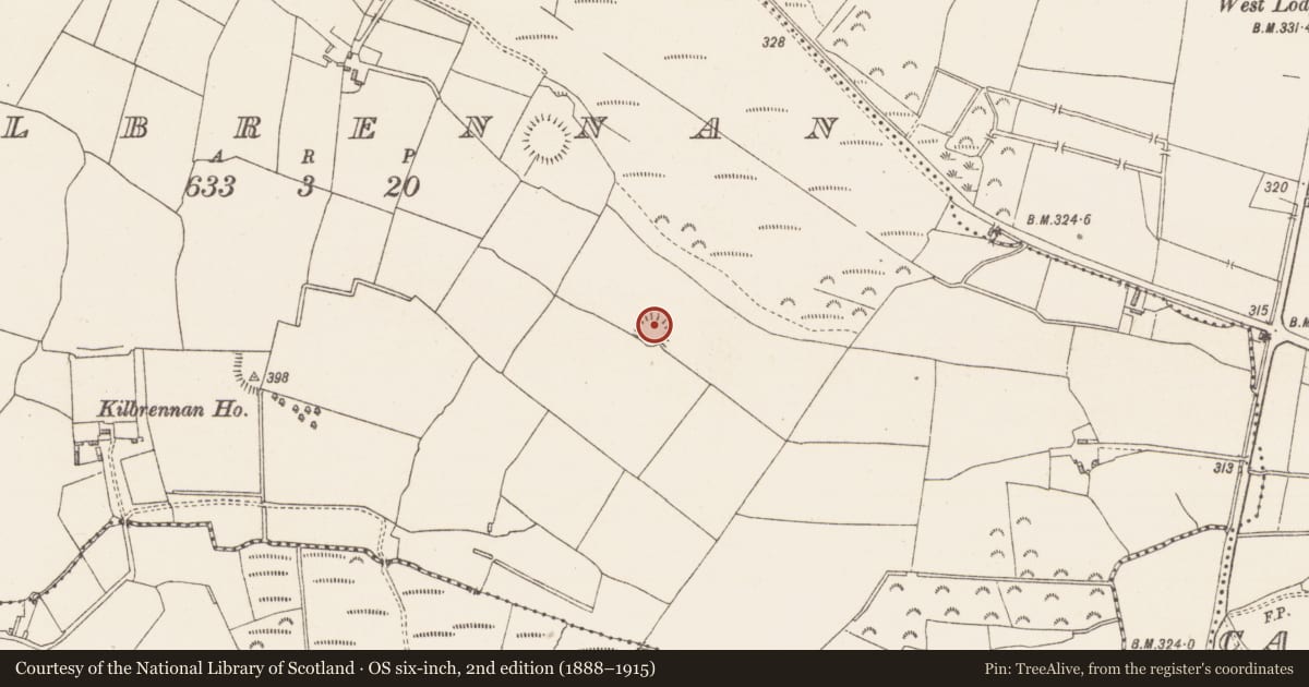 Ordnance Survey six-inch map, 2nd edition (1888–1915) covering the location of Ringfort - rath, Kilbrennan, County Westmeath, with a pin at the register's coordinates