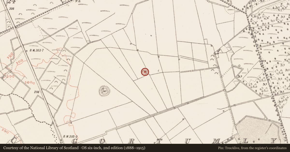 Ordnance Survey six-inch map, 2nd edition (1888–1915) covering the location of Moated site, Gortumly, County Westmeath, with a pin at the register's coordinates