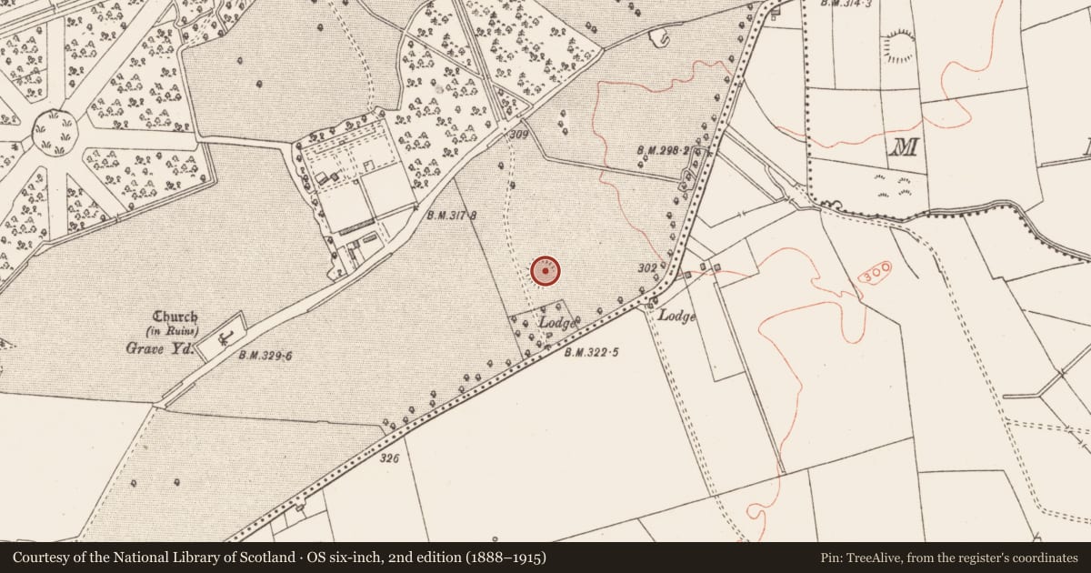 Ordnance Survey six-inch map, 2nd edition (1888–1915) covering the location of Ringfort - rath, Gallstown, County Westmeath, with a pin at the register's coordinates