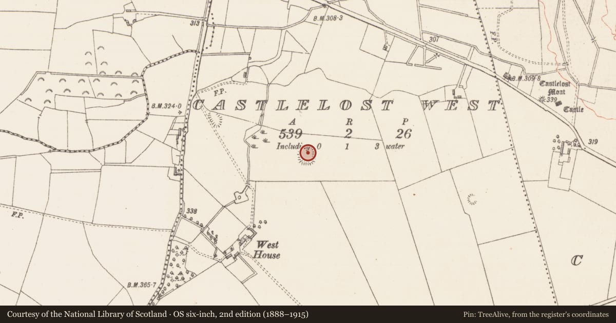 Ordnance Survey six-inch map, 2nd edition (1888–1915) covering the location of Ringfort - rath, Castlelost West, County Westmeath, with a pin at the register's coordinates