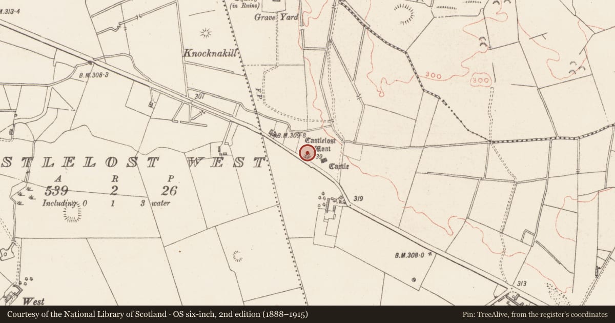 Ordnance Survey six-inch map, 2nd edition (1888–1915) covering the location of Castle - motte and bailey, Castlelost, County Westmeath, with a pin at the register's coordinates