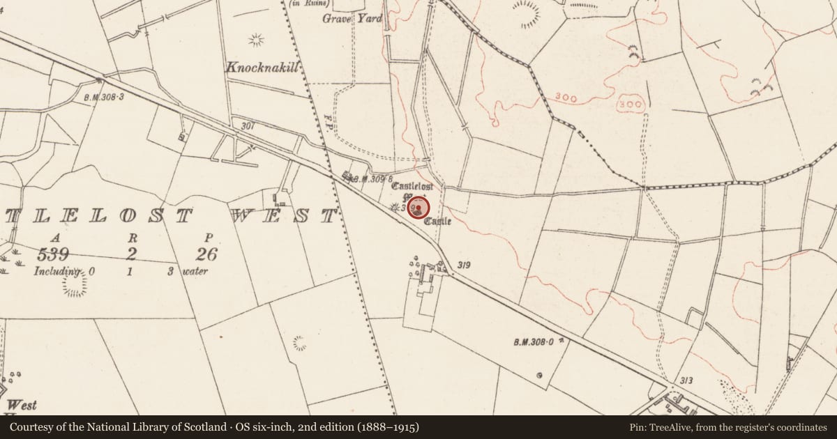 Ordnance Survey six-inch map, 2nd edition (1888–1915) covering the location of Castle - unclassified, Castlelost, County Westmeath, with a pin at the register's coordinates