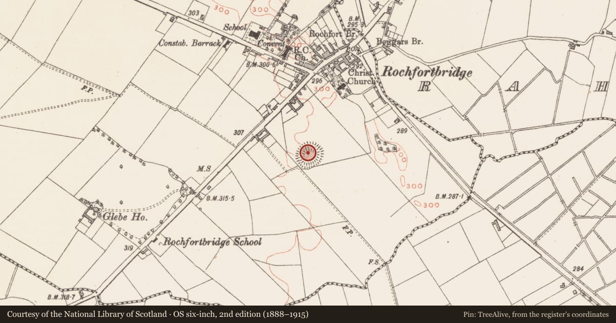 Ordnance Survey six-inch map, 2nd edition (1888–1915) covering the location of Ringfort - rath, Castlelost, County Westmeath, with a pin at the register's coordinates