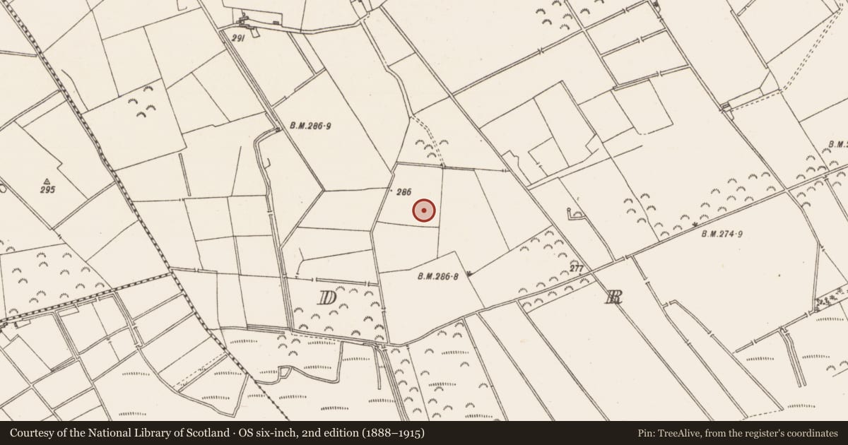 Ordnance Survey six-inch map, 2nd edition (1888–1915) covering the location of Earthwork, Drumman, County Westmeath, with a pin at the register's coordinates