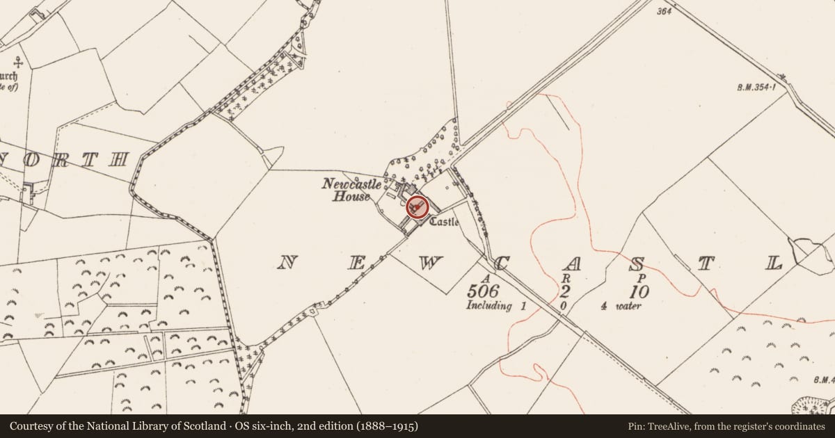 Ordnance Survey six-inch map, 2nd edition (1888–1915) covering the location of Castle - hall-house, Newcastle, County Westmeath, with a pin at the register's coordinates