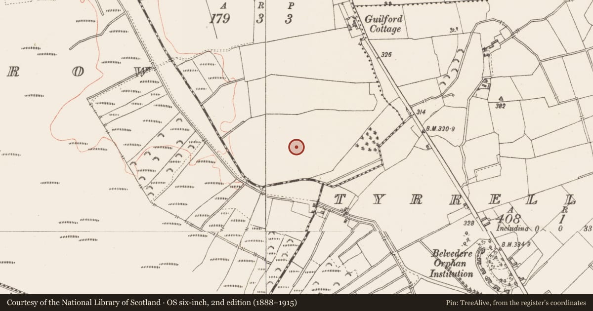 Ordnance Survey six-inch map, 2nd edition (1888–1915) covering the location of Souterrain, Guilford Or Davidstown, County Westmeath, with a pin at the register's coordinates