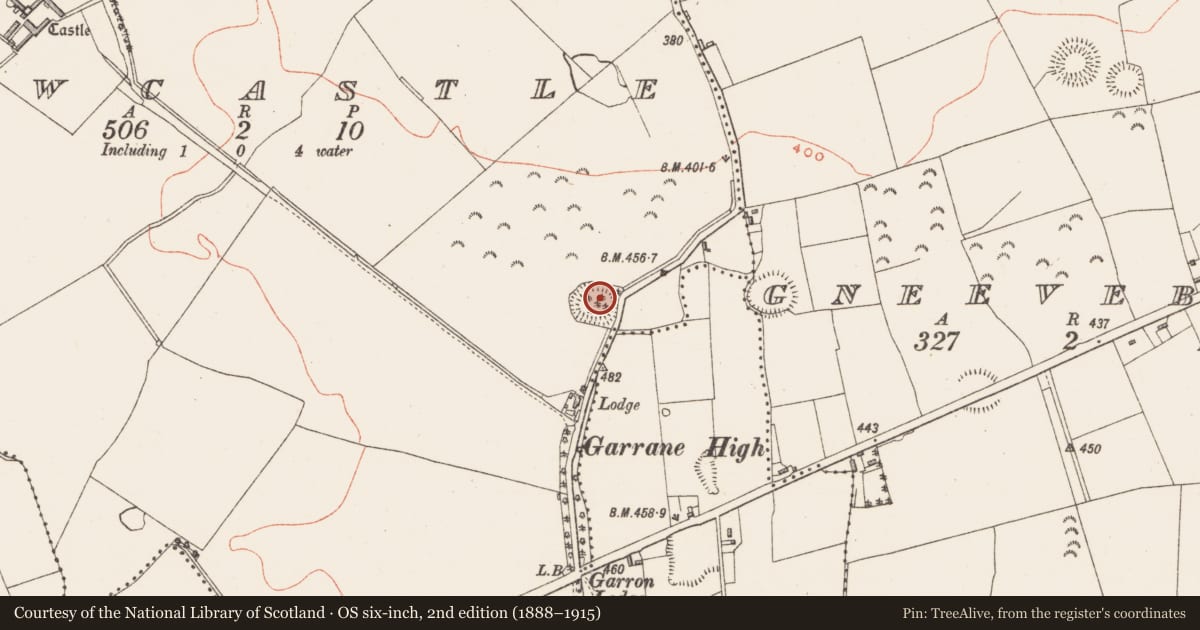 Ordnance Survey six-inch map, 2nd edition (1888–1915) covering the location of Ringfort - rath, Newcastle, County Westmeath, with a pin at the register's coordinates