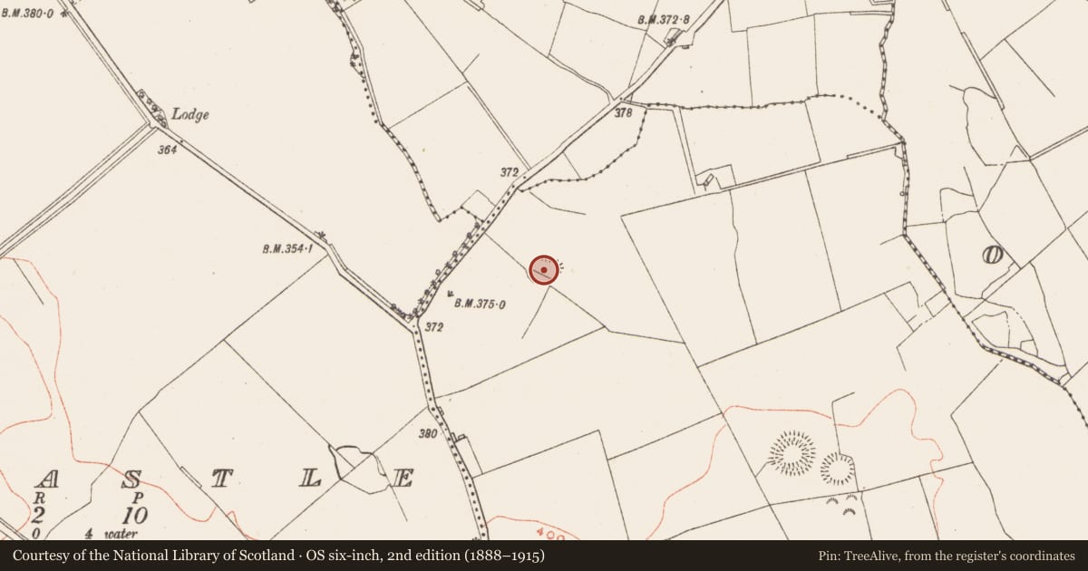 Ordnance Survey six-inch map, 2nd edition (1888–1915) covering the location of Ringfort - rath, Gneevebane, County Westmeath, with a pin at the register's coordinates