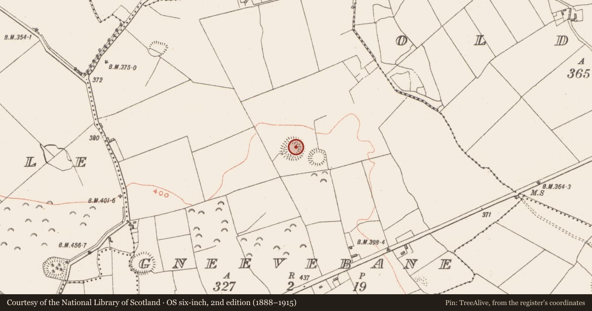 Ordnance Survey six-inch map, 2nd edition (1888–1915) covering the location of Ringfort - unclassified, Gneevebane, County Westmeath, with a pin at the register's coordinates