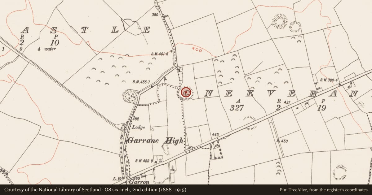 Ordnance Survey six-inch map, 2nd edition (1888–1915) covering the location of Ringfort - rath, Gneevebane, County Westmeath, with a pin at the register's coordinates