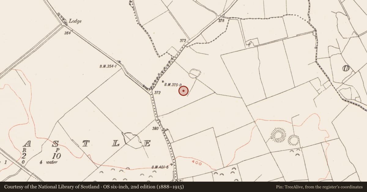Ordnance Survey six-inch map, 2nd edition (1888–1915) covering the location of Mound, Gneevebane, County Westmeath, with a pin at the register's coordinates