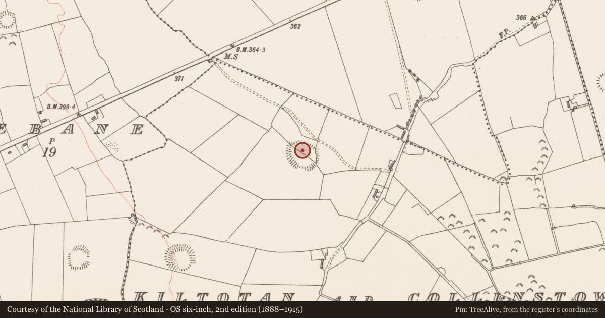 Ordnance Survey six-inch map, 2nd edition (1888–1915) covering the location of Ringfort - rath, Kiltotan And Collinstown, County Westmeath, with a pin at the register's coordinates