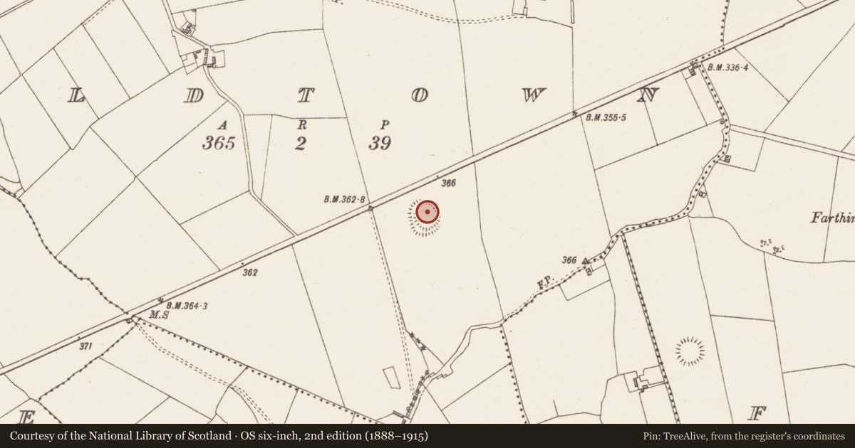 Ordnance Survey six-inch map, 2nd edition (1888–1915) covering the location of Ringfort - rath, Oldtown, County Westmeath, with a pin at the register's coordinates