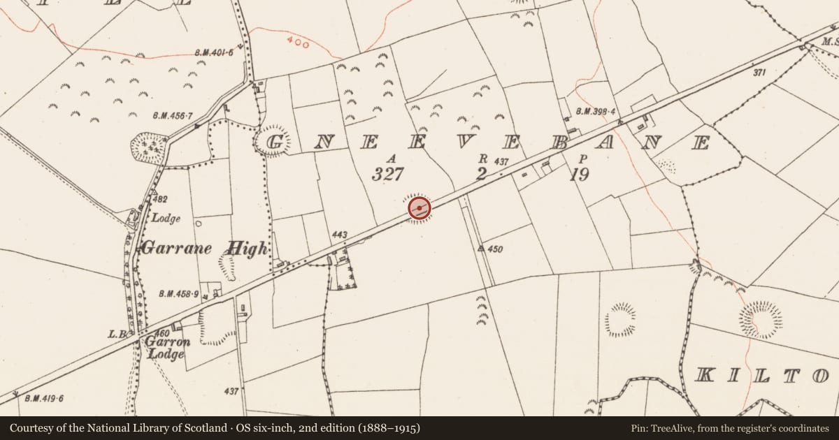 Ordnance Survey six-inch map, 2nd edition (1888–1915) covering the location of Ringfort - rath, Gneevebane, County Westmeath, with a pin at the register's coordinates