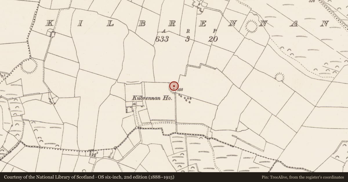 Ordnance Survey six-inch map, 2nd edition (1888–1915) covering the location of Enclosure, Kilbrennan, County Westmeath, with a pin at the register's coordinates