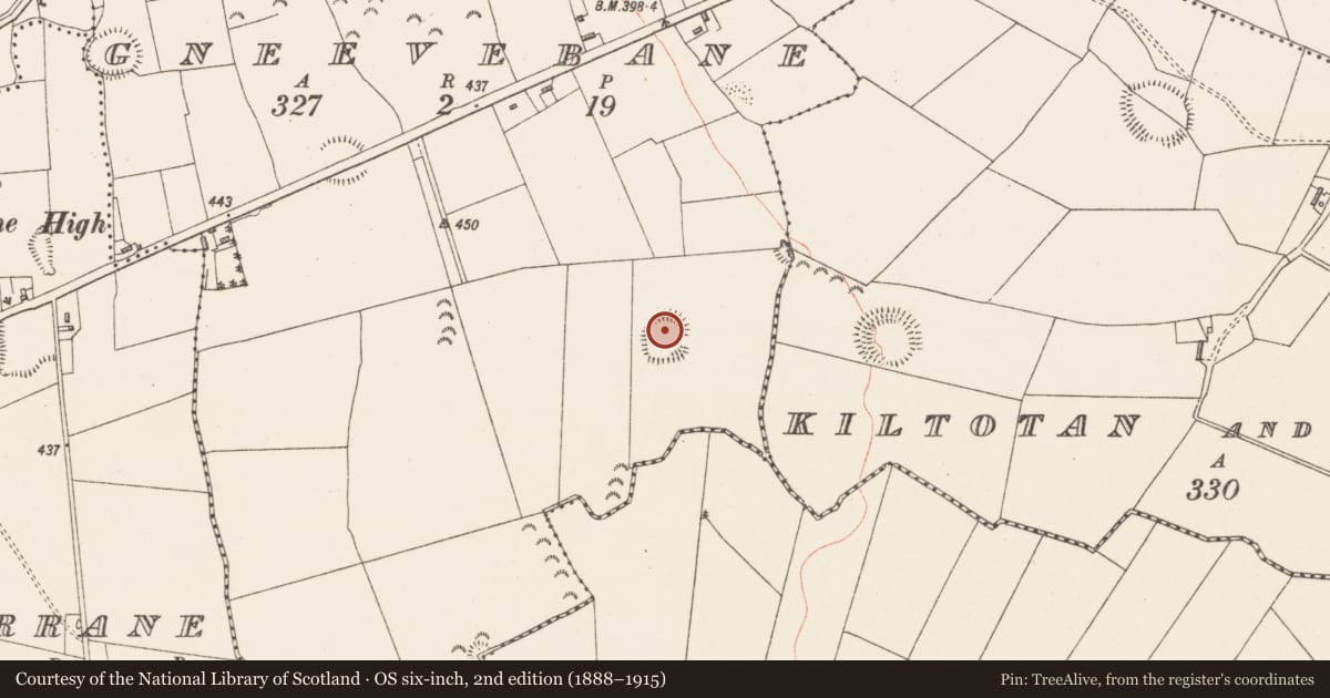Ordnance Survey six-inch map, 2nd edition (1888–1915) covering the location of Ringfort - rath, Gneevebane, County Westmeath, with a pin at the register's coordinates