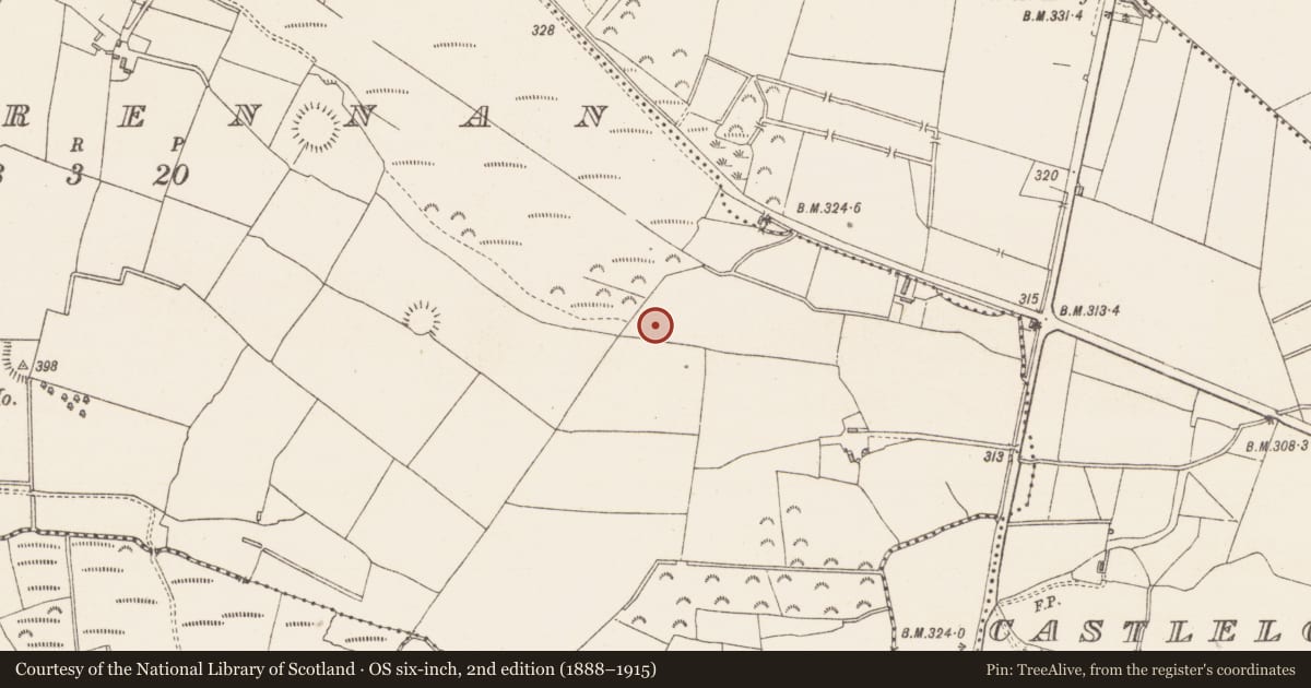 Ordnance Survey six-inch map, 2nd edition (1888–1915) covering the location of Burial ground, Kilbrennan, County Westmeath, with a pin at the register's coordinates