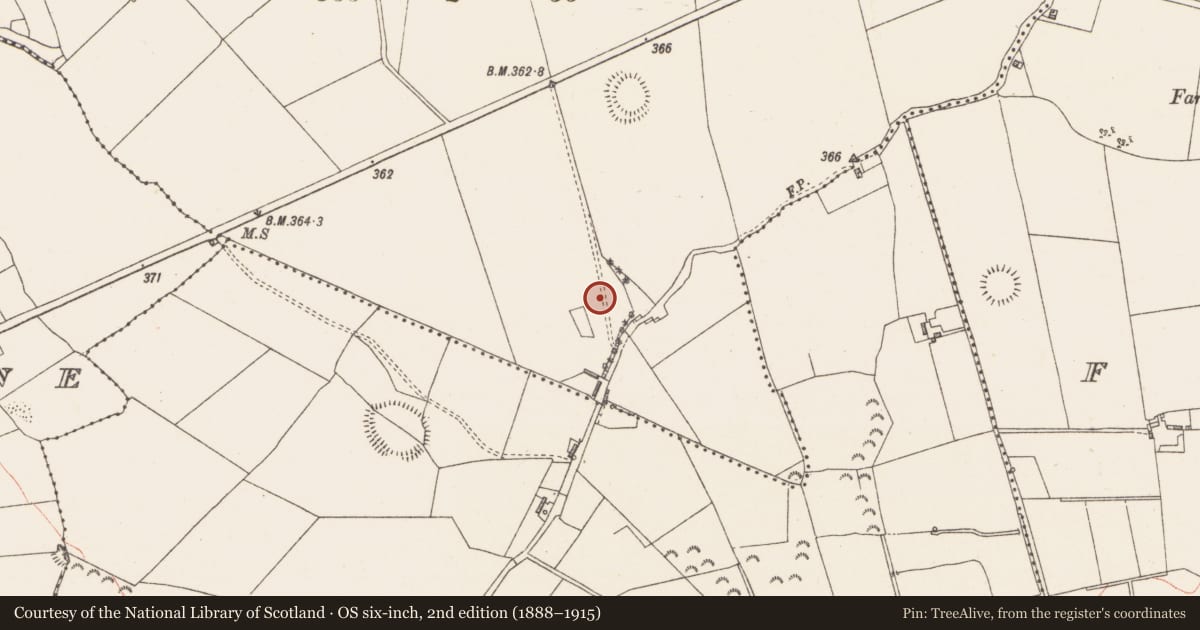 Ordnance Survey six-inch map, 2nd edition (1888–1915) covering the location of Enclosure, Oldtown, County Westmeath, with a pin at the register's coordinates