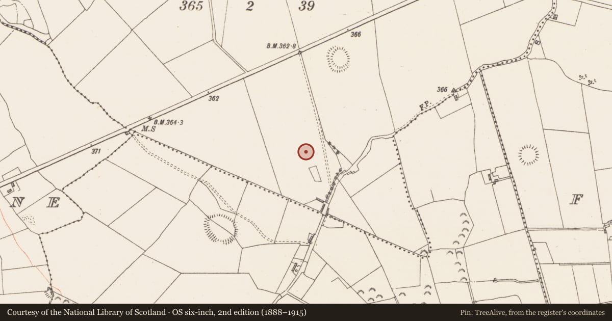 Ordnance Survey six-inch map, 2nd edition (1888–1915) covering the location of Field system, Oldtown, County Westmeath, with a pin at the register's coordinates