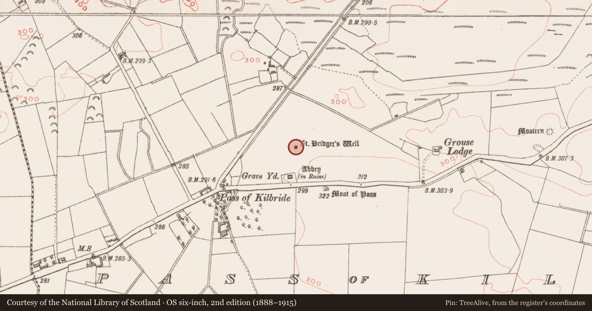 Ordnance Survey six-inch map, 2nd edition (1888–1915) covering the location of Ritual site - holy well, Pass of Kilbride, County Westmeath, with a pin at the register's coordinates